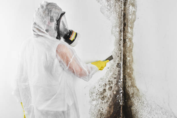 Mold Testing and Removal in Waxhaw, NC